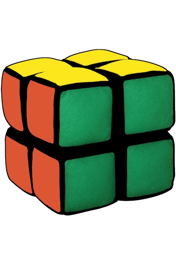 Mon Premier Rubik's 2x2